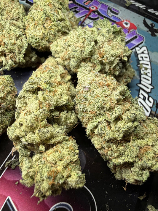 Cali Spain Medium shelf Doc Selection  - CHEM BUBBLE DAWG