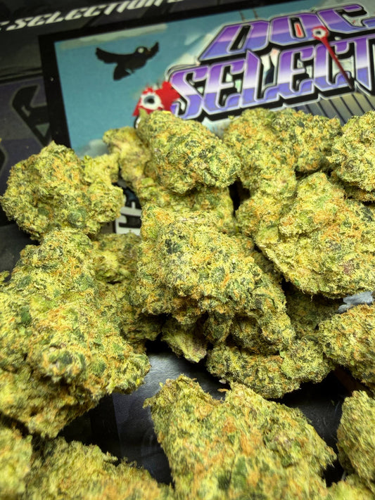 Top Cali Imported Bufalo Plein - CHERRY BOOF