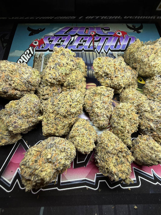 Top Cali Imported Bufalo Plein - GASOLINE DOSIDOS