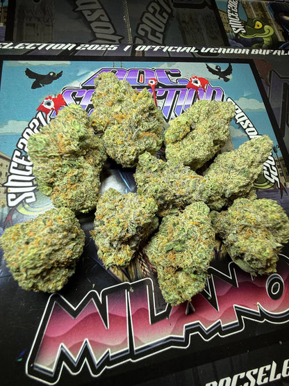 Top cali Spain Doc Selection - RS11 X ZOAP