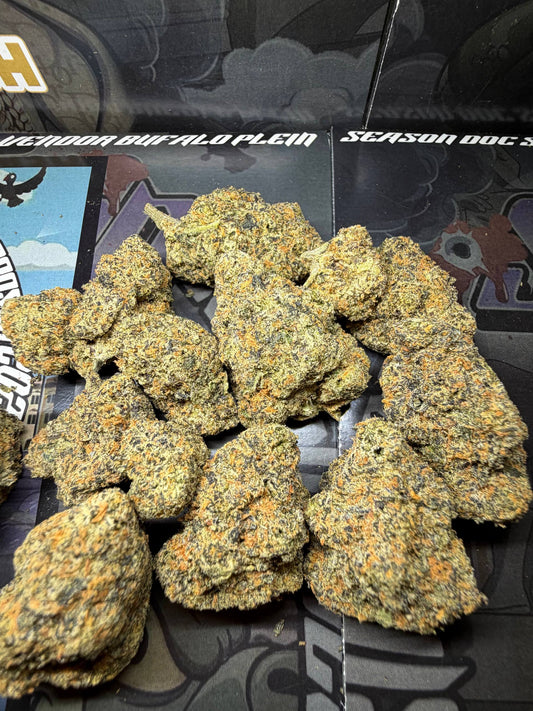 Top Cali Imported Bufalo Plein - RUNTZ BERRY