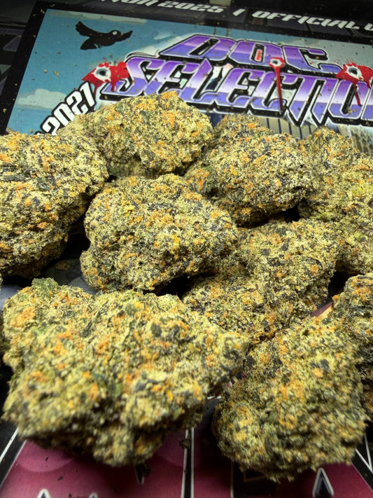 Top Cali Imported Bufalo Plein - TROPICAL RUNTZ