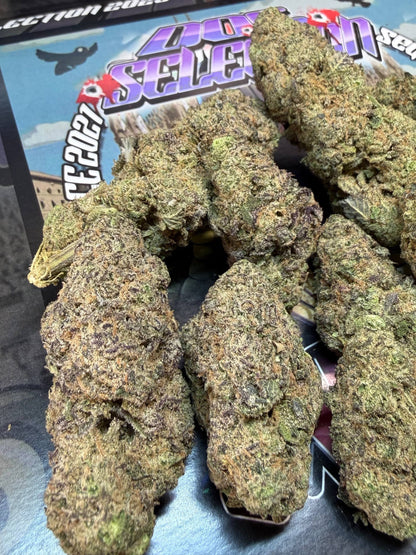 Top Cali Spain Doc Selection - FULL GAS BOMB