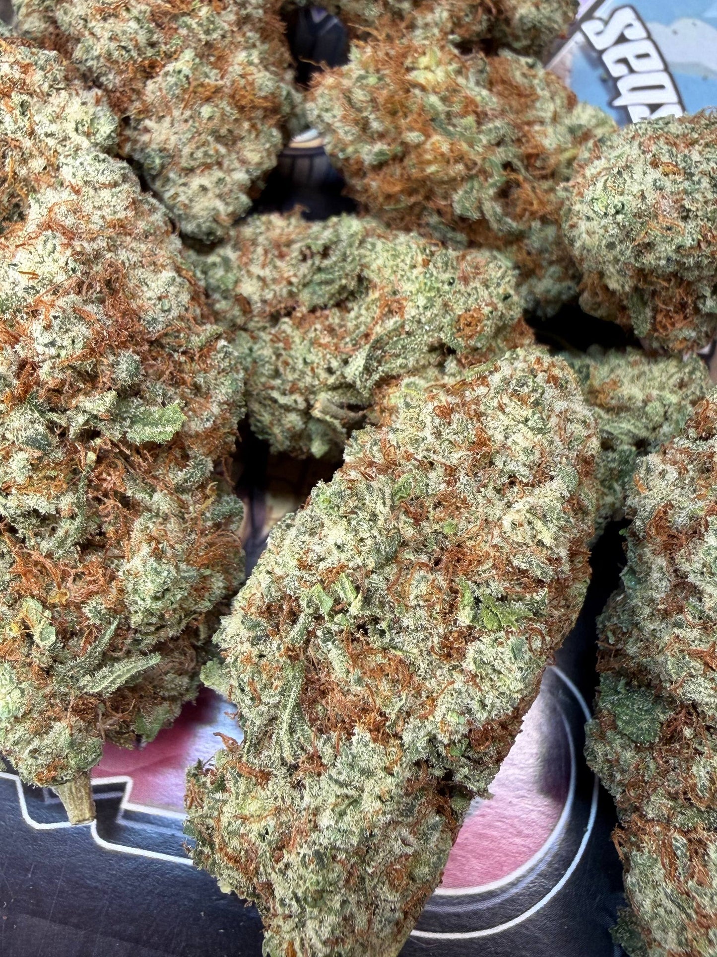 Top Cali Spain Doc Selection - GLADIATOR BERRY