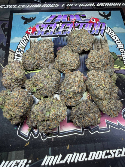 Cali usa Medium shelf - LONDON CHERRY GAS