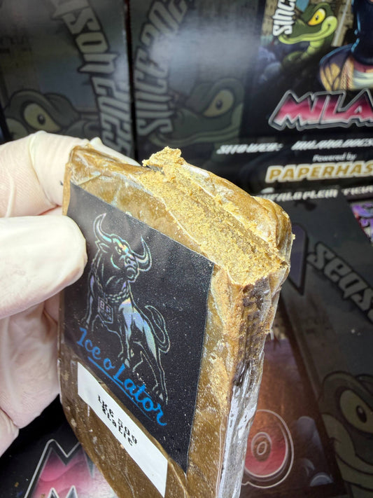 Statico da ice Cali Bufalo Plein - LONDON COOKIES ENEMY