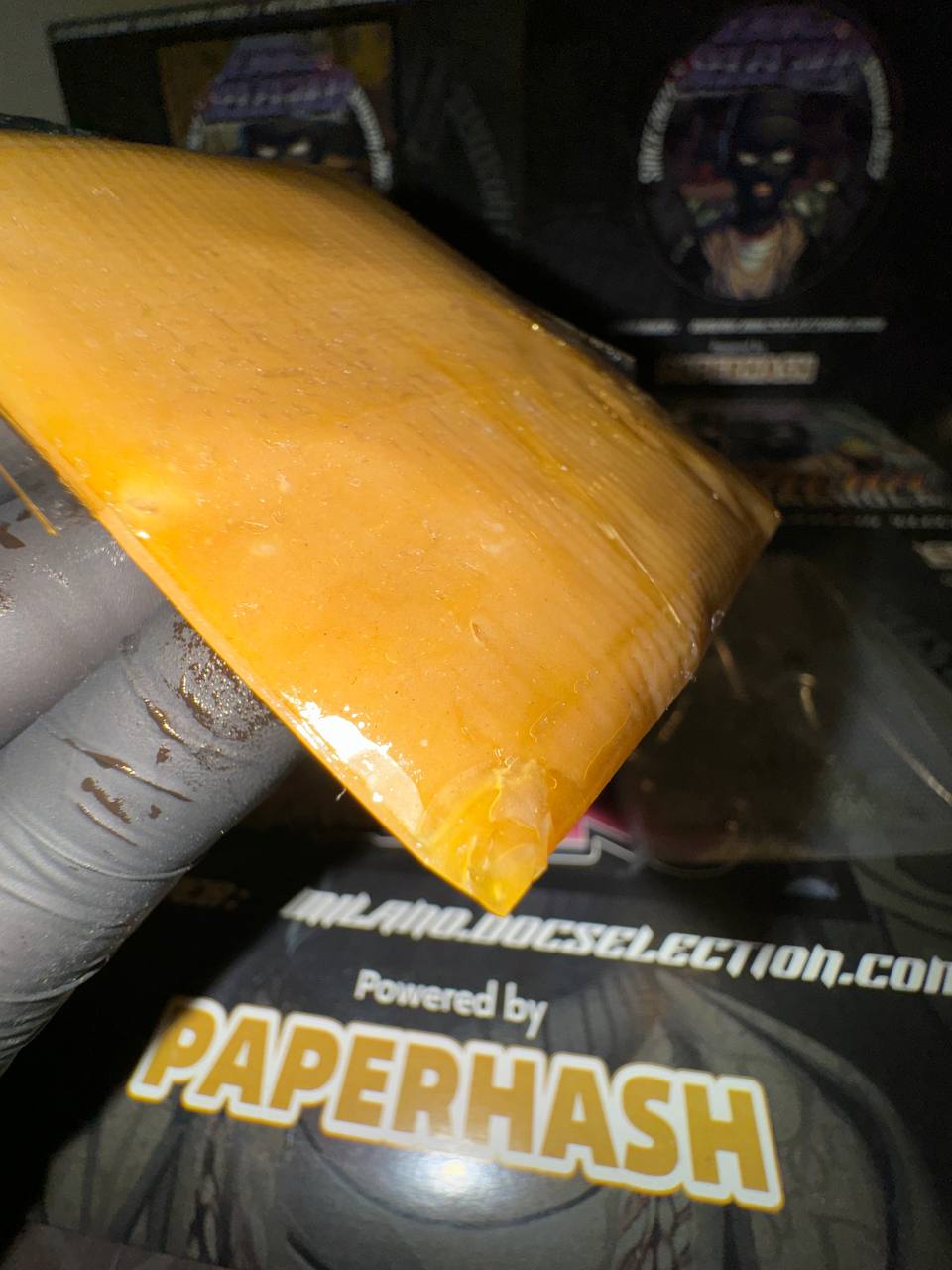 𝙋𝙄𝘼𝙏𝙏𝙀𝙇𝙇𝘼 𝙄𝘾𝙀 𝘽𝙐𝙎𝙃𝙄𝘿𝙊 𝘾𝙐𝙋 - 𝘼𝙐𝙏𝙃𝙐𝙈 𝙎𝙐𝙉𝙎𝙀𝙏