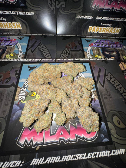 Cali By Doc. Grow Ita - Super Bouf x Cherry