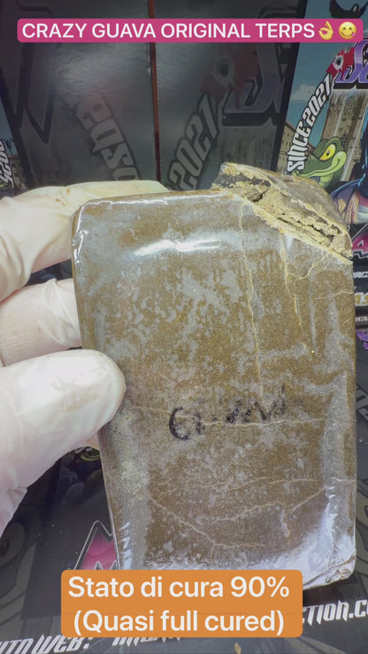 Dry Ice o’lator Californiano 220/45u - GUAVA