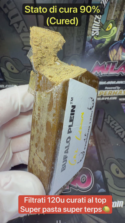 Premium Filtred 120u Bufalo Plein 2026 - GAZ LIME