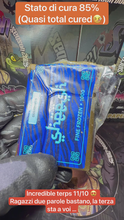 Real Top Cali Frozen By Sheeshcali - GUSHMINTS