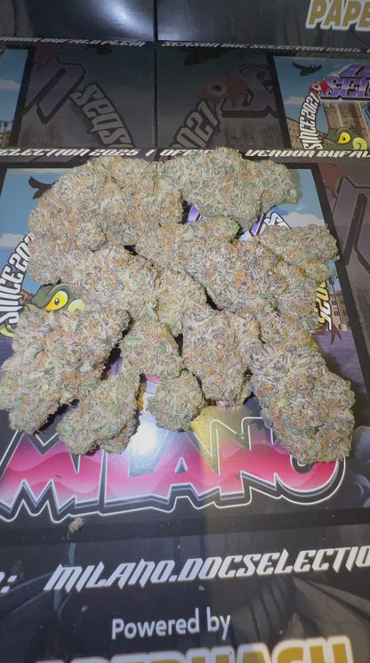 Cali By Doc. Grow Ita - Super Bouf x Cherry