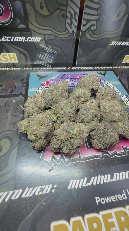 Cali usa Medium shelf - LONDON CHERRY GAS