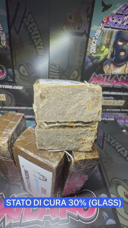 Frozen Sift Mid Bufalo Plein - GORILLA BREATH