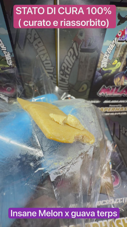PIATTELLA ICE 1ª 90u By Shish lab - MELON x GUAVA