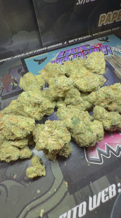 Top Cali Imported Bufalo Plein - CHERRY BOOF