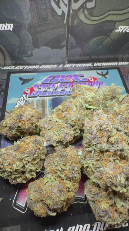 Top cali Spain Doc Selection - CHERRY POPPERZ X JUNGLE MINTS