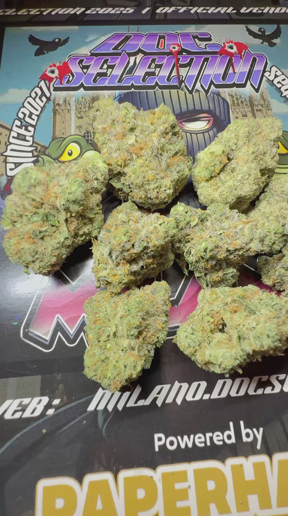 Top cali Spain Doc Selection - RS11 X ZOAP