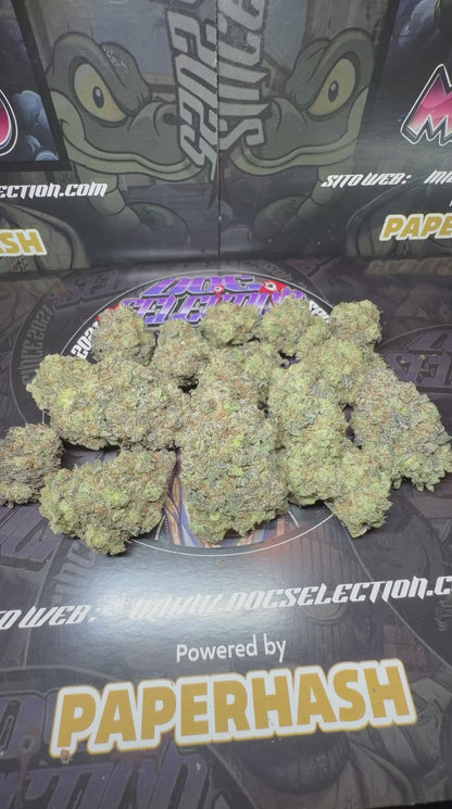 Top Cali Spain Doc Selection - TRAP GAS BERRY
