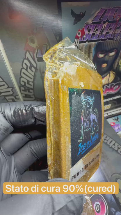 New Bubble Hash Bufalo Plein 2026 - PUNCH BREATH