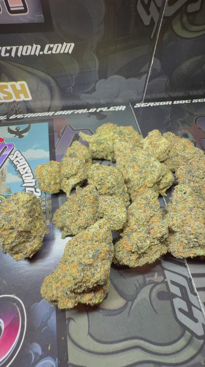Top Cali Imported Bufalo Plein - RUNTZ BERRY