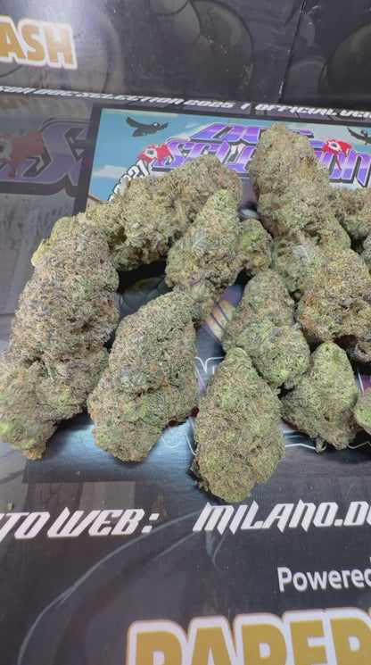 Top Cali Spain Doc Selection - FULL GAS BOMB