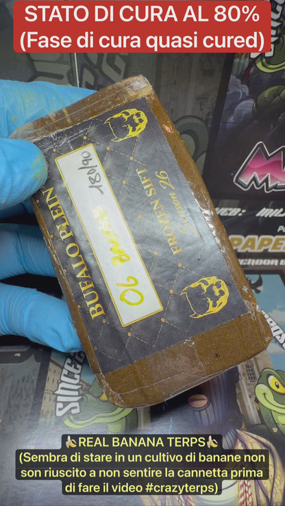 Premium Frozen 180/90 Bufalo Plein 2026 - BANANA OG