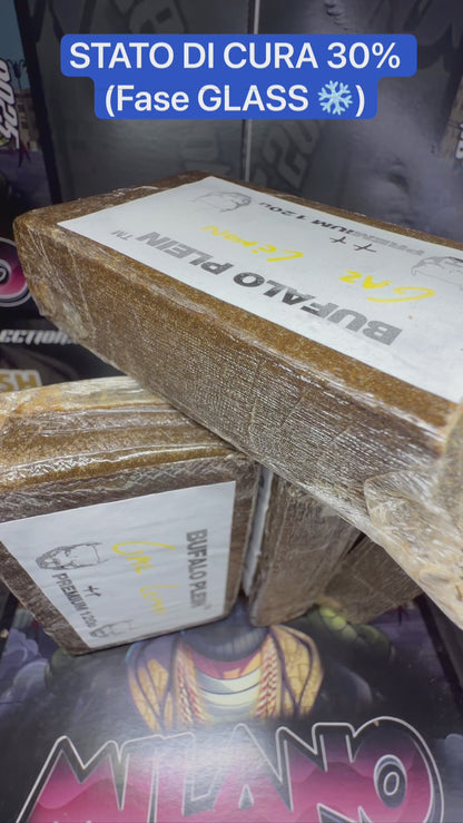 Premium Filtred 120u Bufalo Plein 2026 - GAZ LIME
