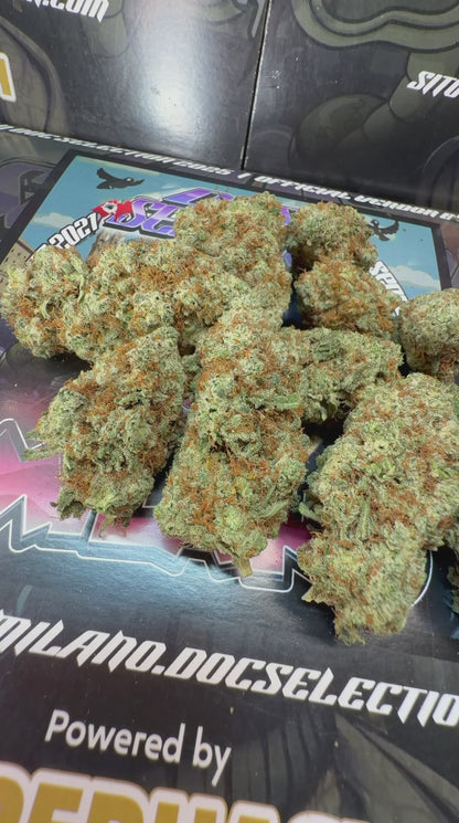 Top Cali Spain Doc Selection - GLADIATOR BERRY