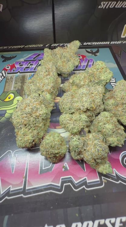 Cali usa Top shelf - GRAPE GAS BERRY