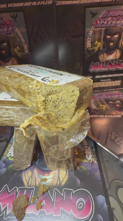 Frozen Sift Mid Bufalo Plein - Z. HEAD