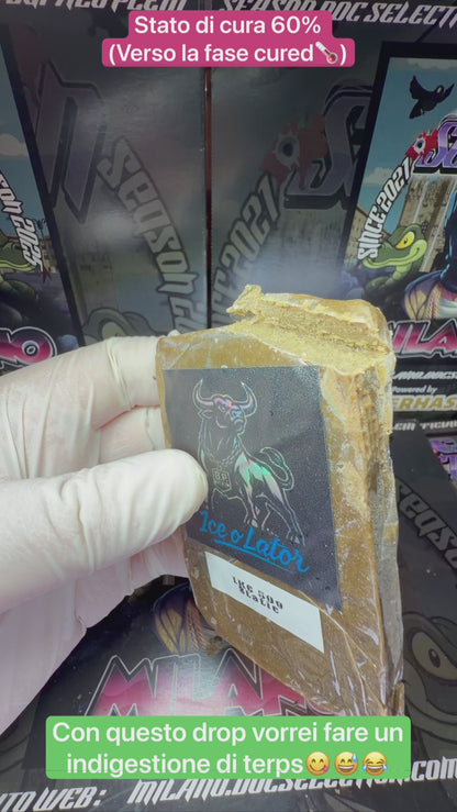 Statico da ice Cali Bufalo Plein - LONDON COOKIES ENEMY