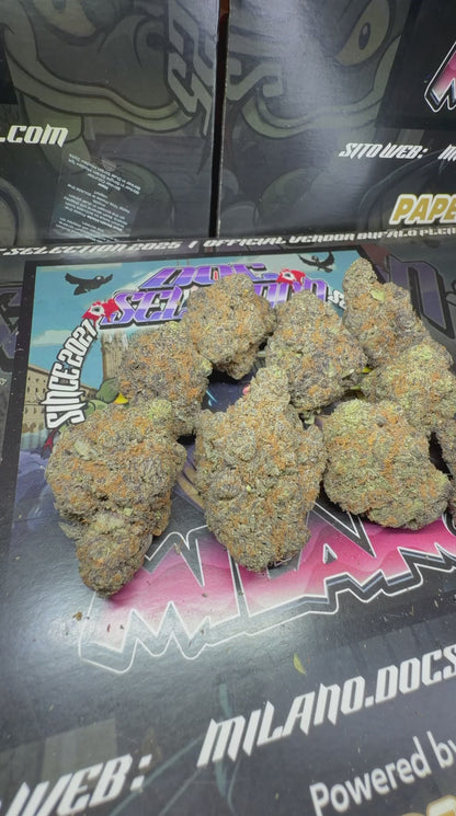 Cali usa Medium shelf - CANDY PAINT