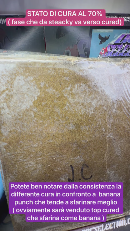 dry ice o’lator californiano 120/90u - LEMON CHERRY