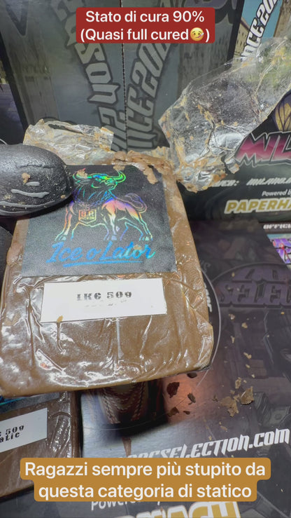 Statico da ice Cali Bufalo Plein - LONDON COOKIES ENEMY