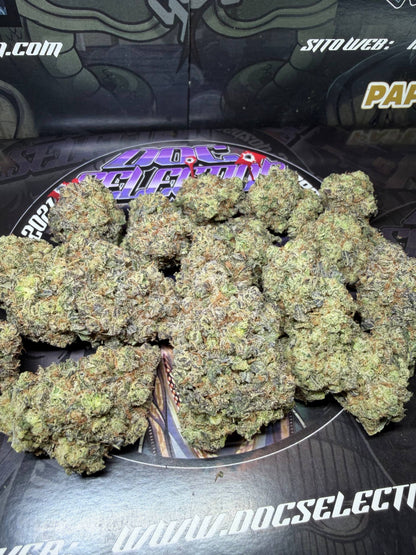 Top Cali Spain Doc Selection - TRAP GAS BERRY