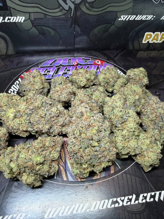 Top Cali Spain Doc Selection - TRAP GAS BERRY